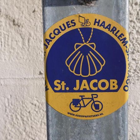 La Musardiere Auzouer-en-Touraine エクステリア 写真